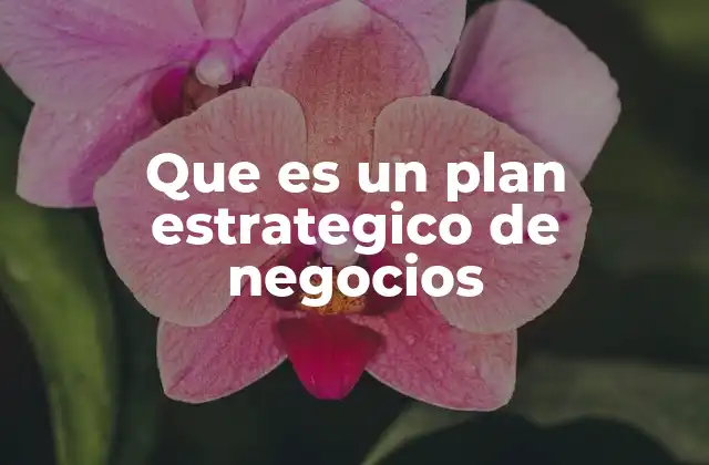 Que es un Plan Estrategico de Negocios