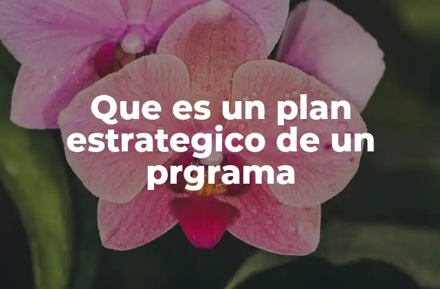 Cómo un plan estratégico estructura el desarrollo de un programa