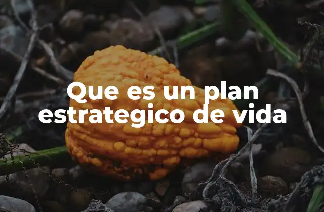 Que es un Plan Estrategico de Vida
