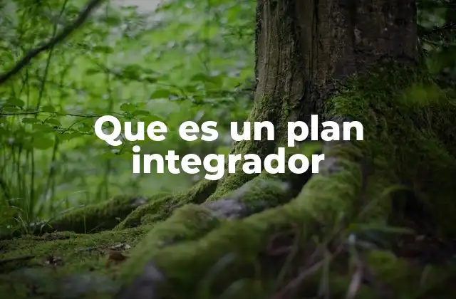 Que es un Plan Integrador 2 La importancia de la planificación integrada en el desarrollo