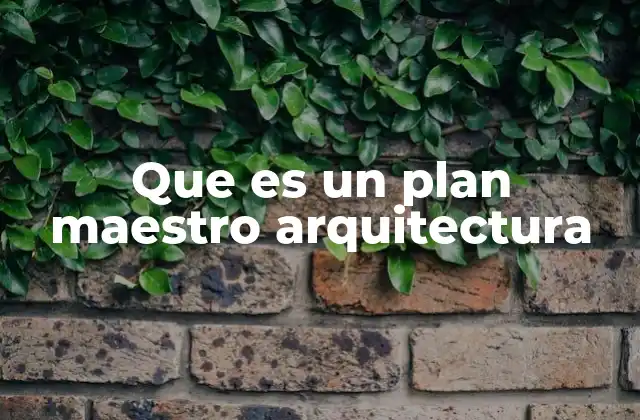 Que es un Plan Maestro Arquitectura
