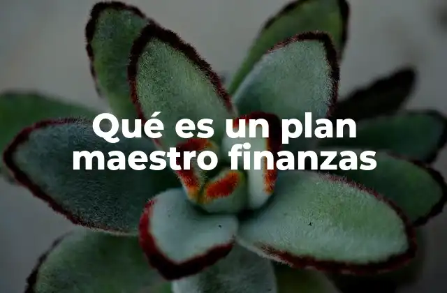 Qué es un Plan Maestro Finanzas
