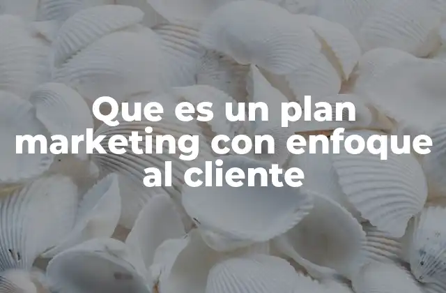 Que es un Plan Marketing con Enfoque Al Cliente 2 La importancia de adaptar el marketing al perfil del consumidor