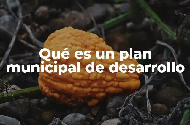 Qué es un Plan Municipal de Desarrollo