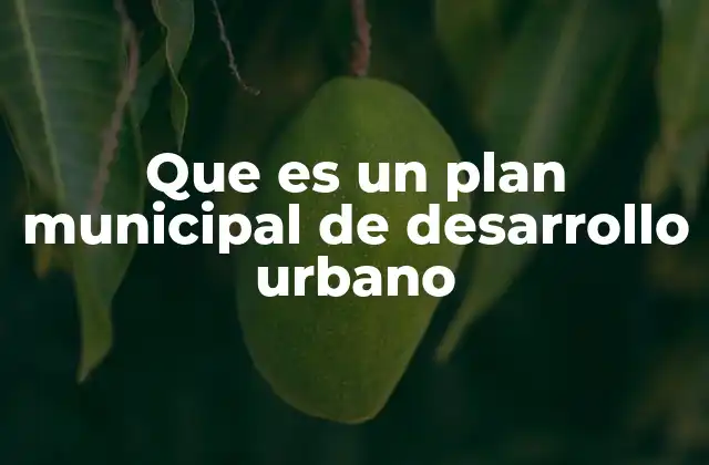 La importancia de planificar el crecimiento urbano