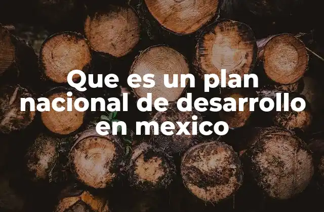 Que es un Plan Nacional de Desarrollo en Mexico