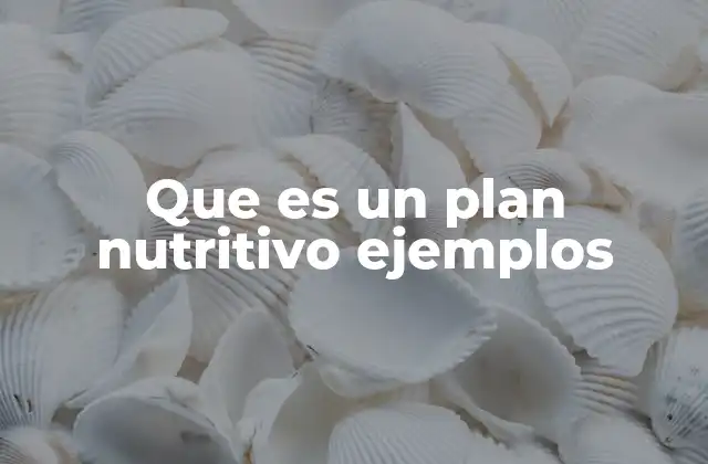 Que es un Plan Nutritivo Ejemplos