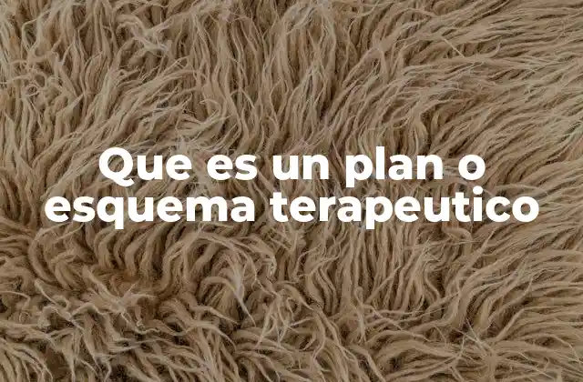 Que es un Plan o Esquema Terapeutico