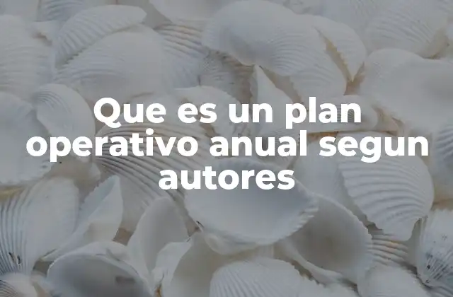 Que es un Plan Operativo Anual Segun Autores