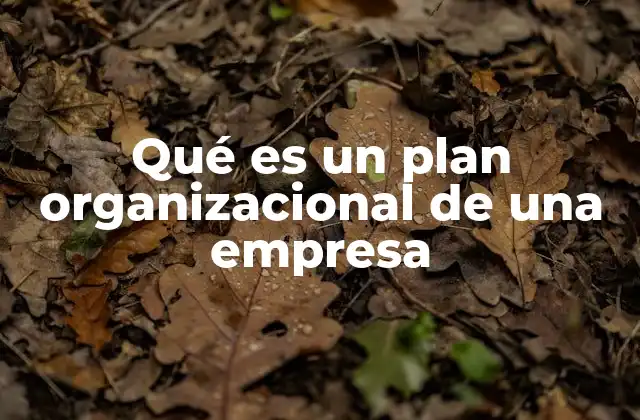 Qué es un Plan Organizacional de una Empresa
