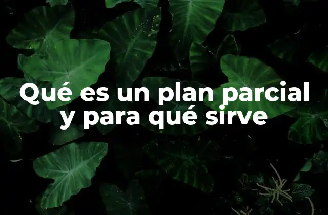 Qué es un Plan Parcial y para Qué Sirve