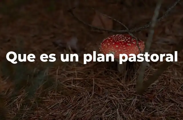 Que es un Plan Pastoral