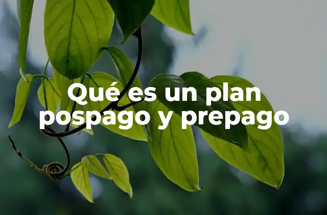 Qué es un Plan Pospago y Prepago