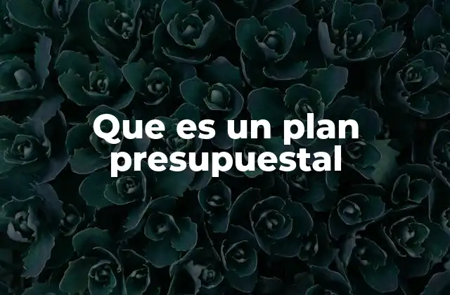 Que es un Plan Presupuestal