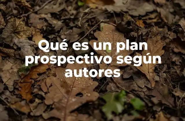 Qué es un Plan Prospectivo según Autores