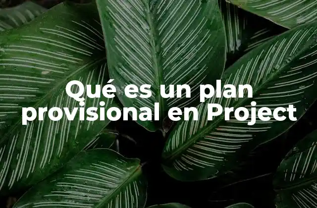 Qué es un Plan Provisional en Project