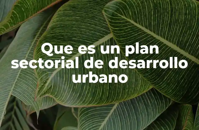Que es un Plan Sectorial de Desarrollo Urbano