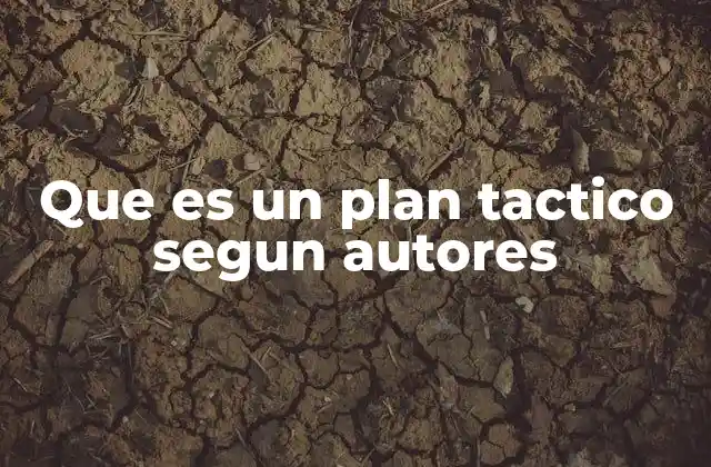 Que es un Plan Tactico Segun Autores