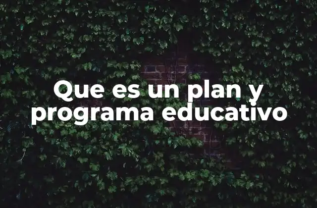 Que es un Plan y Programa Educativo
