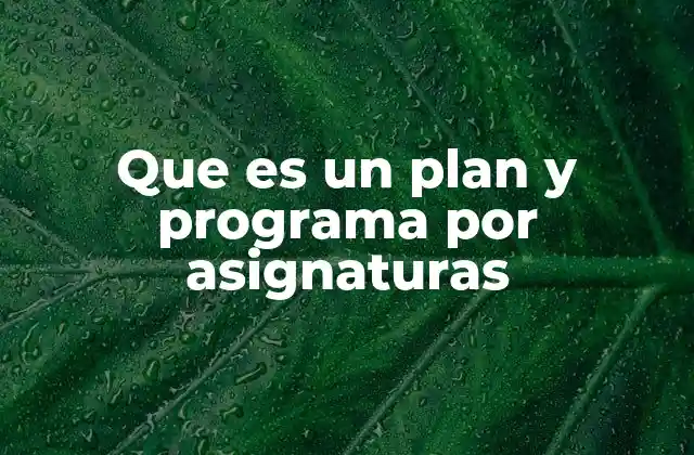 Que es un Plan y Programa por Asignaturas 2 La importancia de estructurar el conocimiento mediante planes y programas