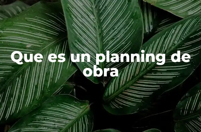 Que es un Planning de Obra