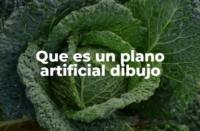 Que es un Plano Artificial Dibujo