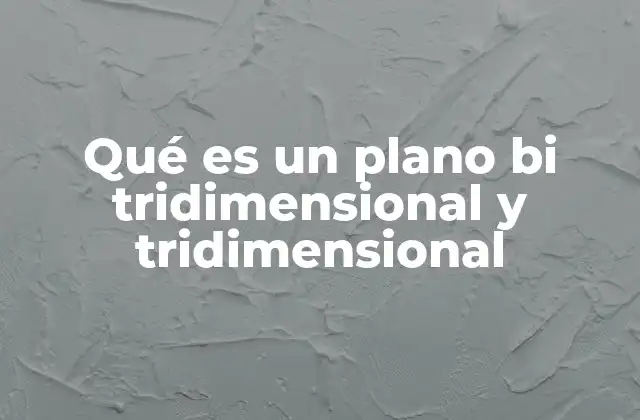 Qué es un Plano Bi Tridimensional y Tridimensional