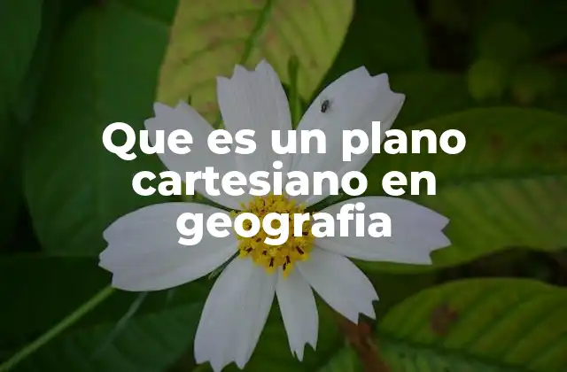 Que es un Plano Cartesiano en Geografia