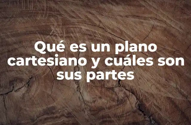 Qué es un Plano Cartesiano y Cuáles Son Sus Partes