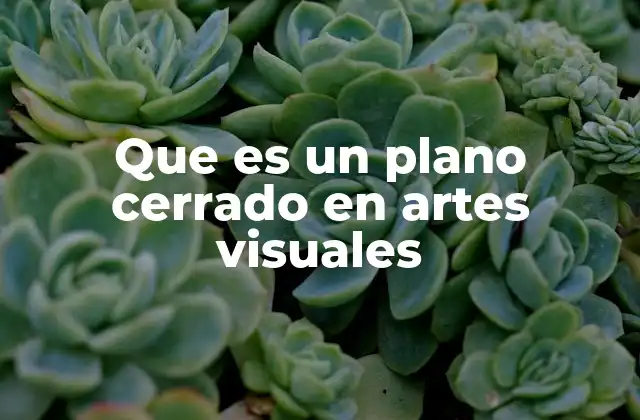 Que es un Plano Cerrado en Artes Visuales