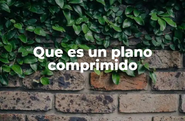 Que es un Plano Comprimido
