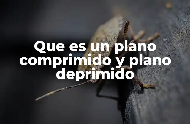 Que es un Plano Comprimido y Plano Deprimido