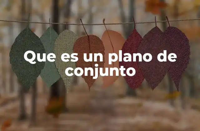 Que es un Plano de Conjunto