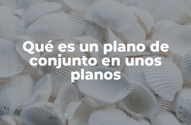 Qué es un Plano de Conjunto en unos Planos