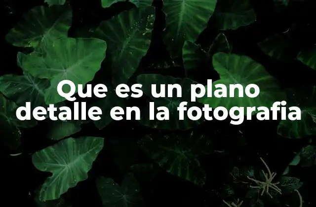 Que es un Plano Detalle en la Fotografia