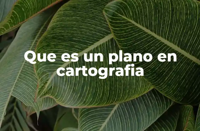 Que es un Plano en Cartografia