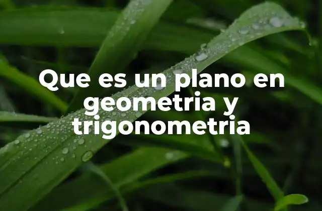 Que es un Plano en Geometria y Trigonometria