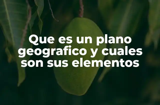 Que es un Plano Geografico y Cuales Son Sus Elementos