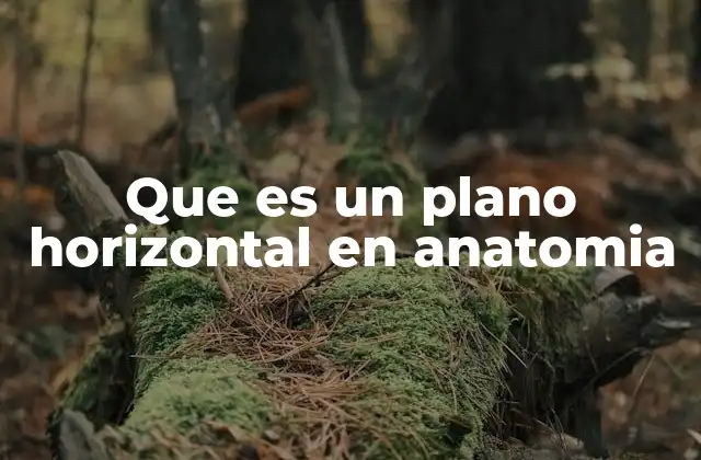 Que es un Plano Horizontal en Anatomia
