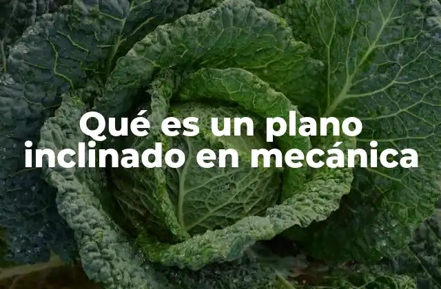 Qué es un Plano Inclinado en Mecánica