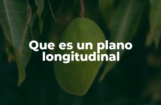 Que es un Plano Longitudinal