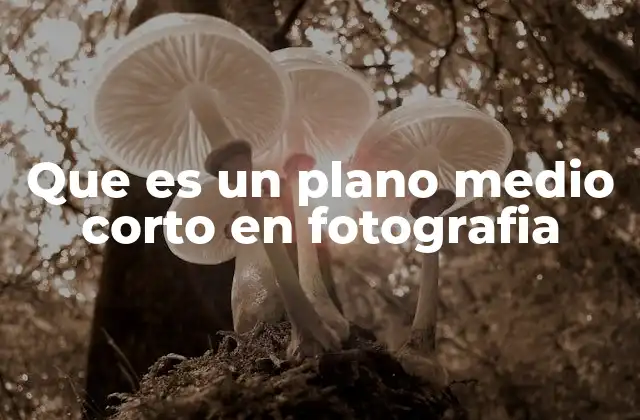 Que es un Plano Medio Corto en Fotografia