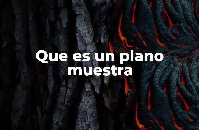 Que es un Plano Muestra