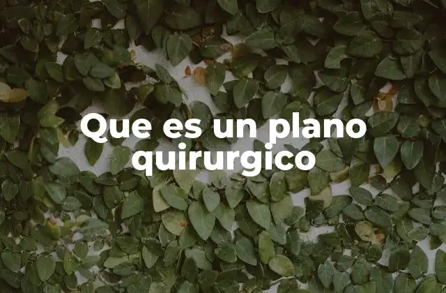 Que es un Plano Quirurgico