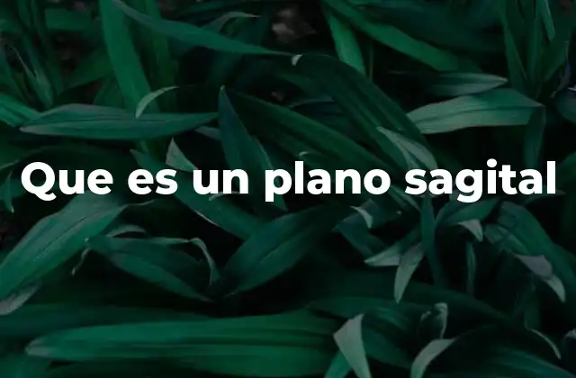 Que es un Plano Sagital