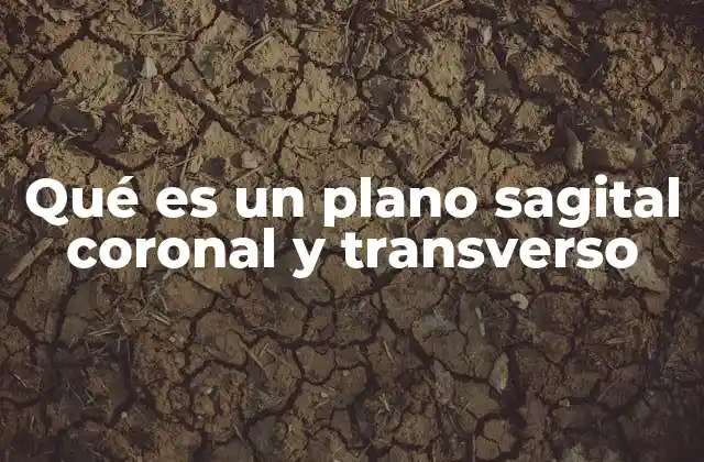 Qué es un Plano Sagital Coronal y Transverso