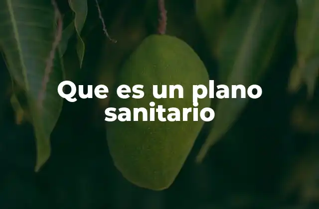 Que es un Plano Sanitario 2 La importancia de contar con un sistema de gestión sanitaria