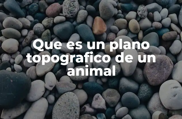 Que es un Plano Topografico de un Animal