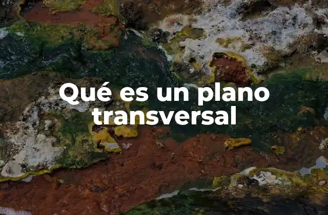 Qué es un Plano Transversal