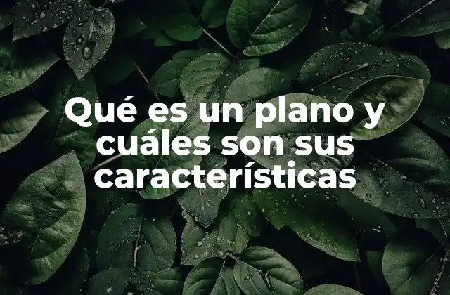 Qué es un Plano y Cuáles Son Sus Características